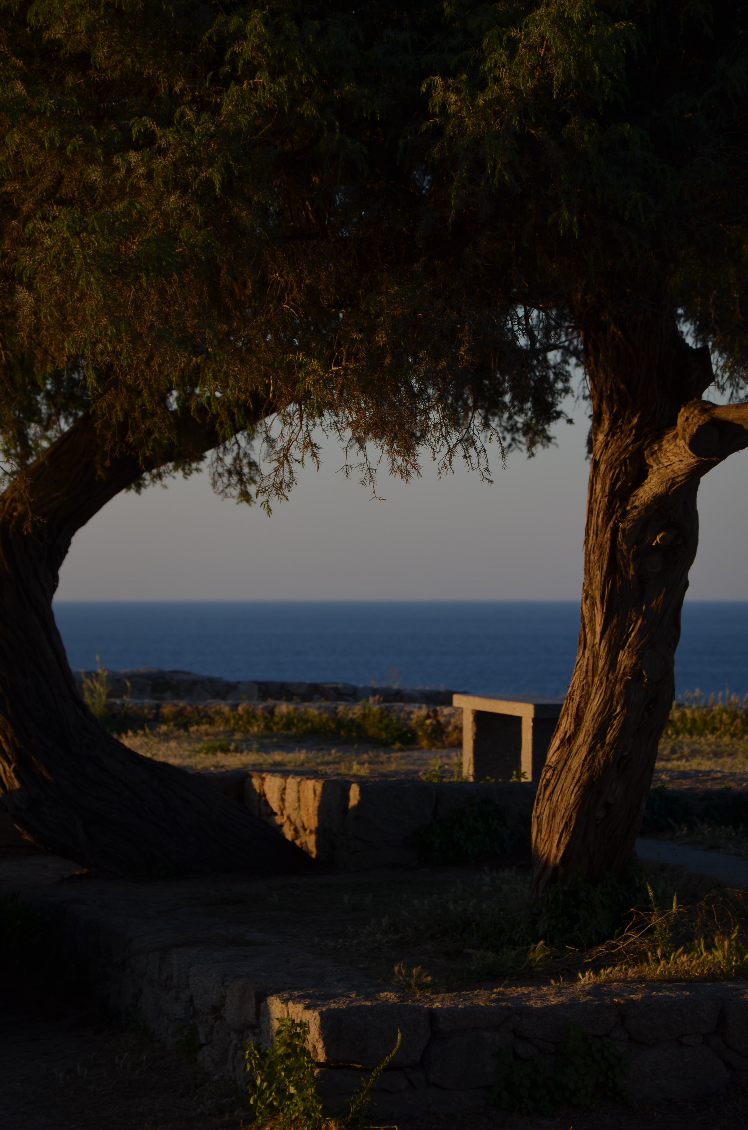 Calvi, lumière méditerranéenne